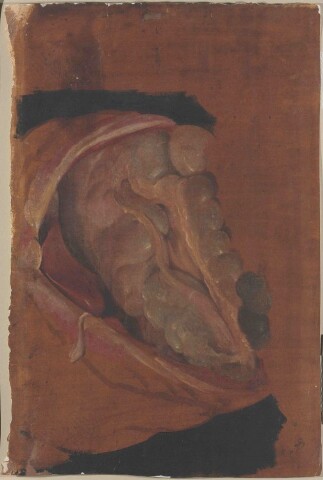 Anteprima dell'oggetto