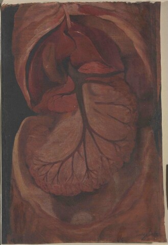 Anteprima dell'oggetto