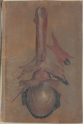 Anteprima dell'oggetto