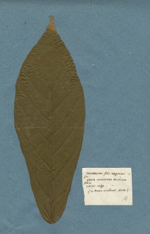 Anteprima dell'oggetto