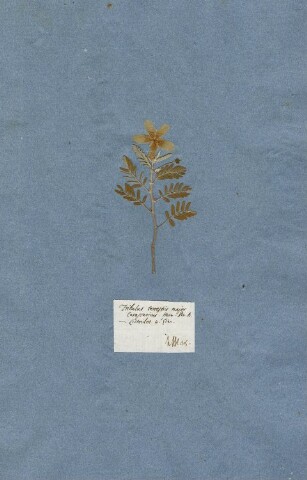 Anteprima dell'oggetto