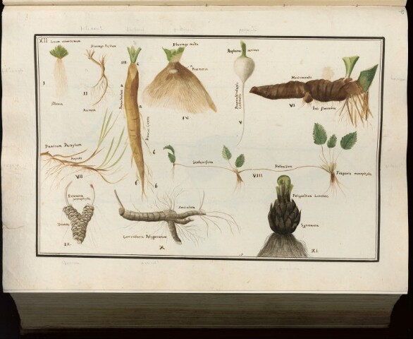 Anteprima dell'oggetto