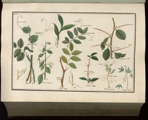 Anteprima dell'oggetto