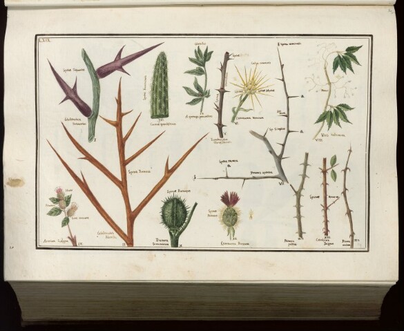 Anteprima dell'oggetto