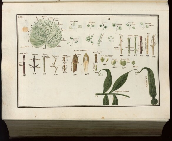 Anteprima dell'oggetto