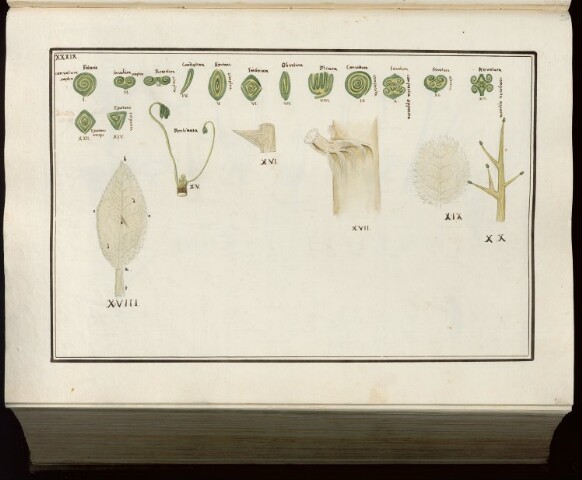 Anteprima dell'oggetto