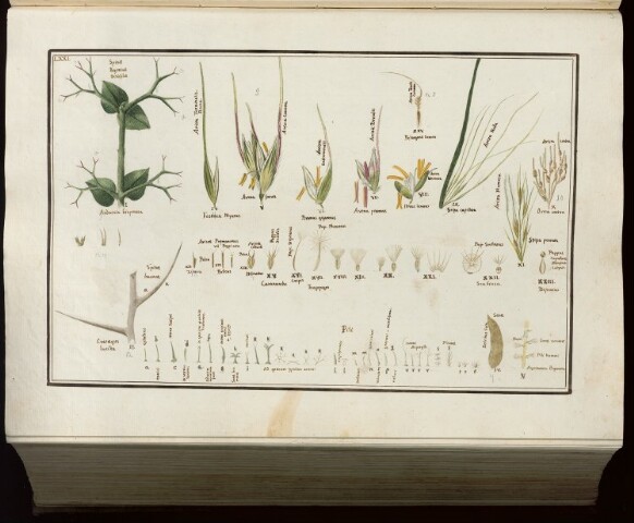 Anteprima dell'oggetto