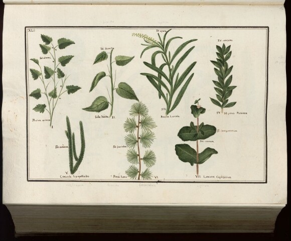 Anteprima dell'oggetto