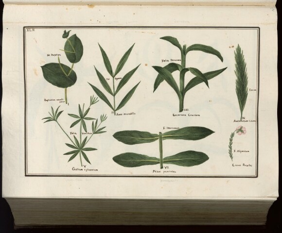 Anteprima dell'oggetto