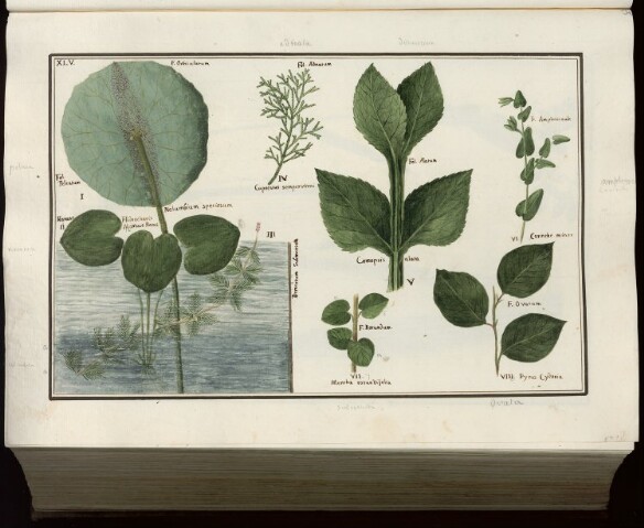 Anteprima dell'oggetto