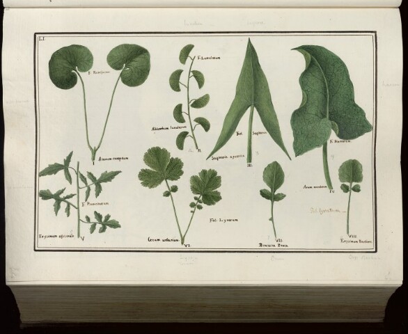 Anteprima dell'oggetto