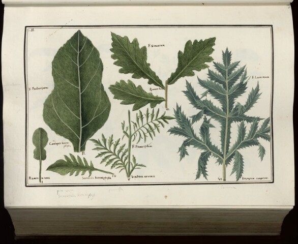 Anteprima dell'oggetto