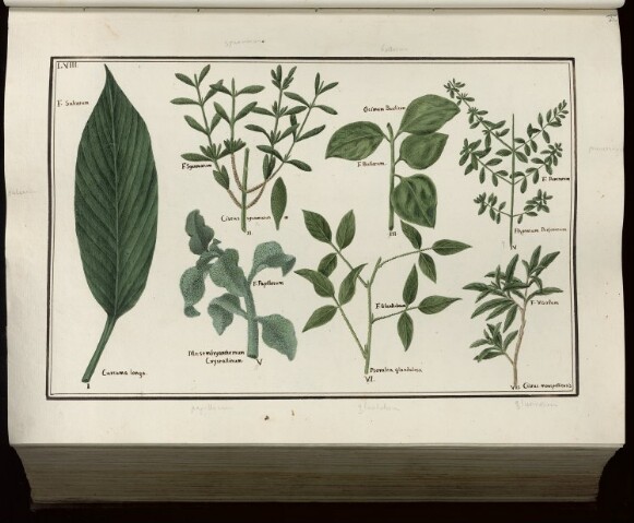 Anteprima dell'oggetto