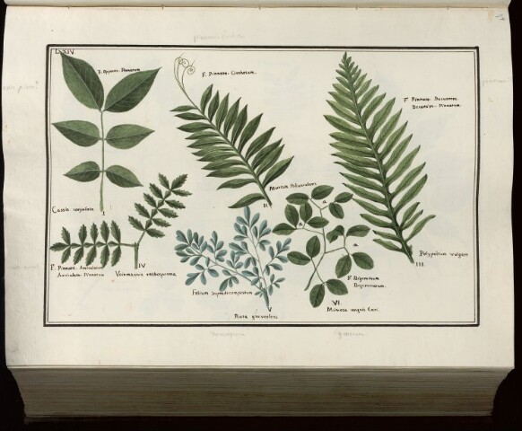 Anteprima dell'oggetto