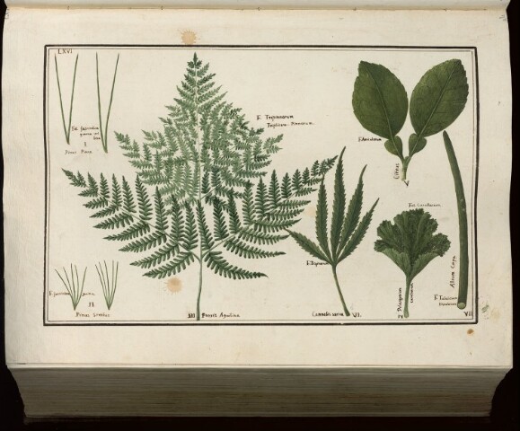 Anteprima dell'oggetto