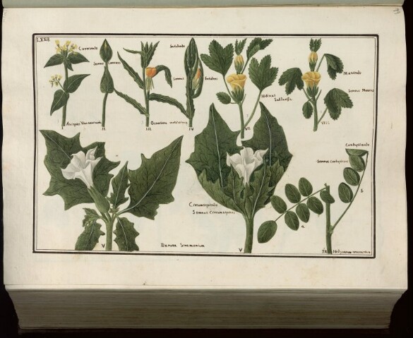 Anteprima dell'oggetto