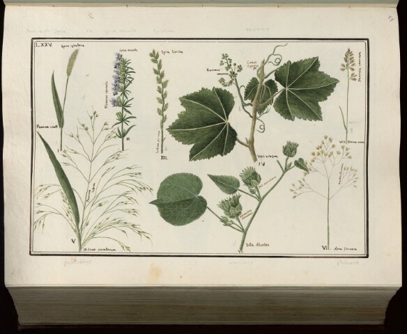 Anteprima dell'oggetto