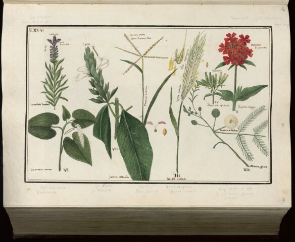 Anteprima dell'oggetto