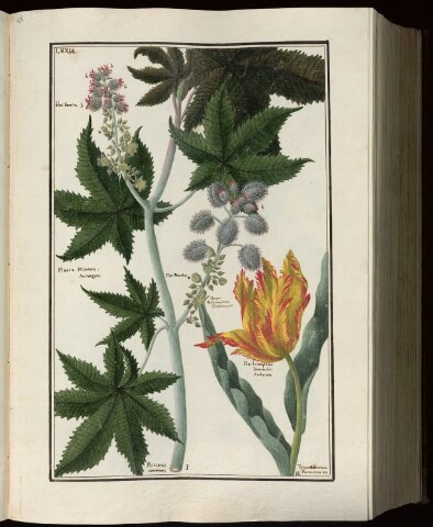 Anteprima dell'oggetto