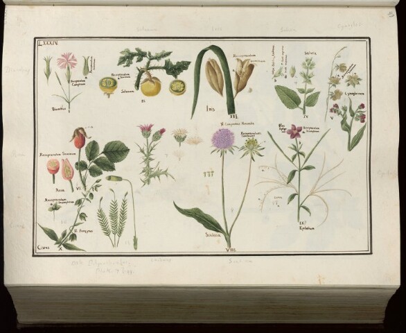 Anteprima dell'oggetto