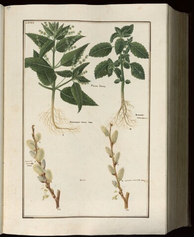 Anteprima dell'oggetto