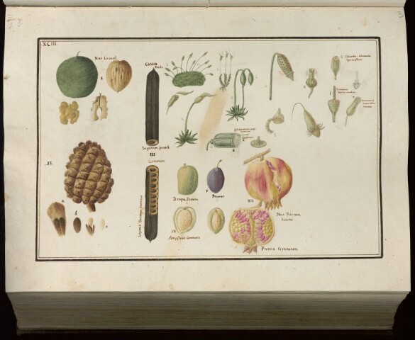 Anteprima dell'oggetto