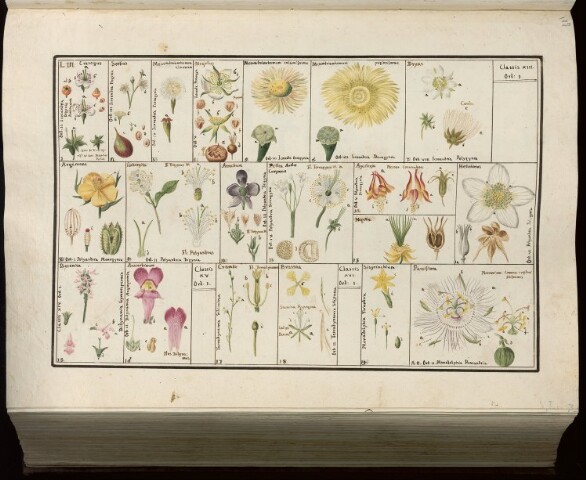 Anteprima dell'oggetto