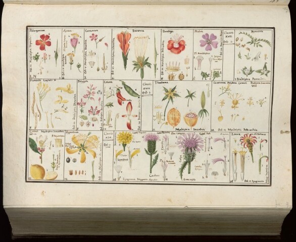 Anteprima dell'oggetto