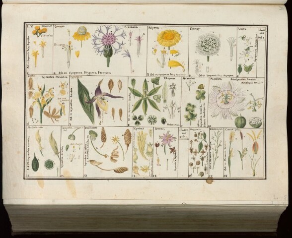 Anteprima dell'oggetto