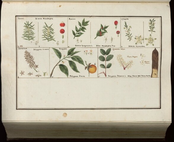 Anteprima dell'oggetto