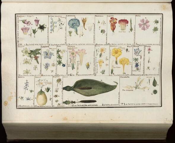 Anteprima dell'oggetto