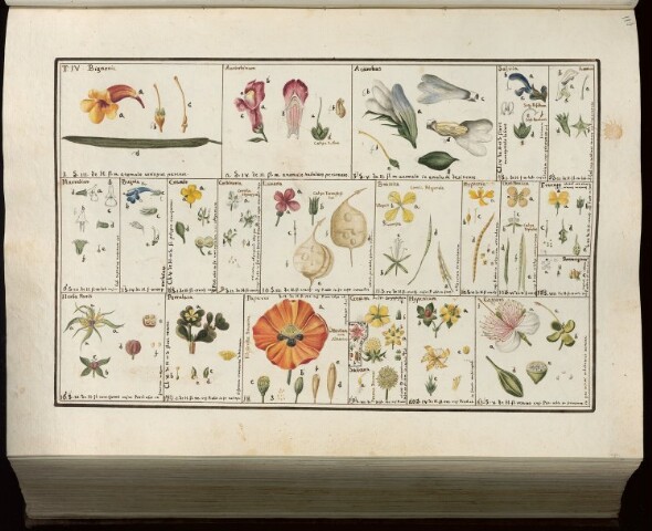 Anteprima dell'oggetto