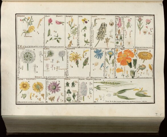 Anteprima dell'oggetto