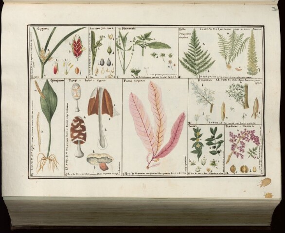 Anteprima dell'oggetto