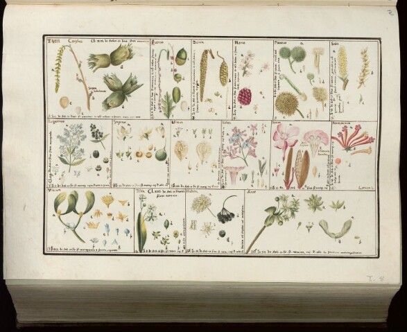 Anteprima dell'oggetto