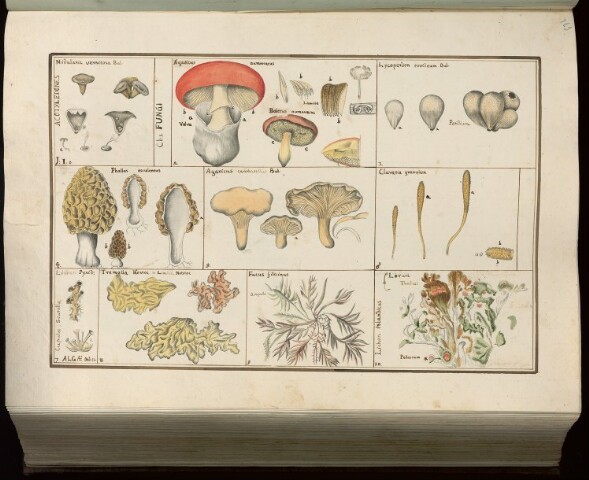 Anteprima dell'oggetto