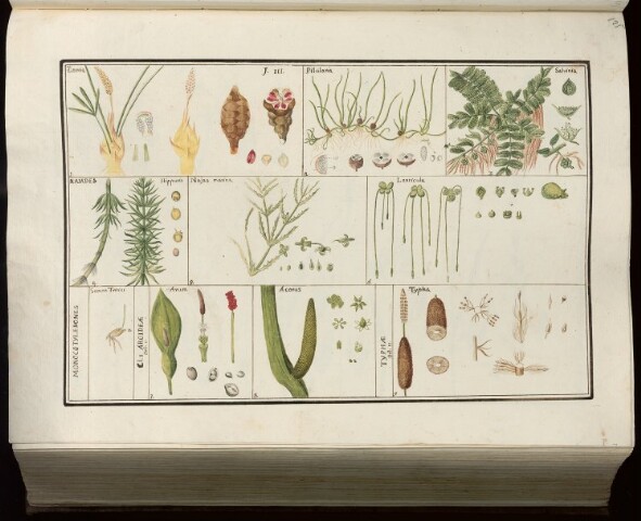 Anteprima dell'oggetto