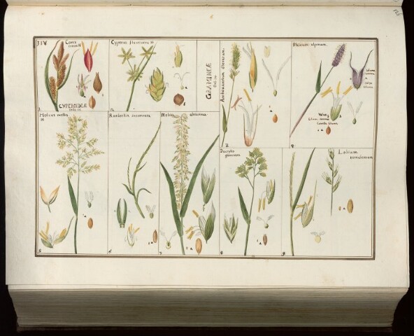 Anteprima dell'oggetto