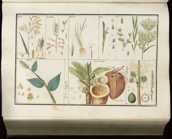 Anteprima dell'oggetto