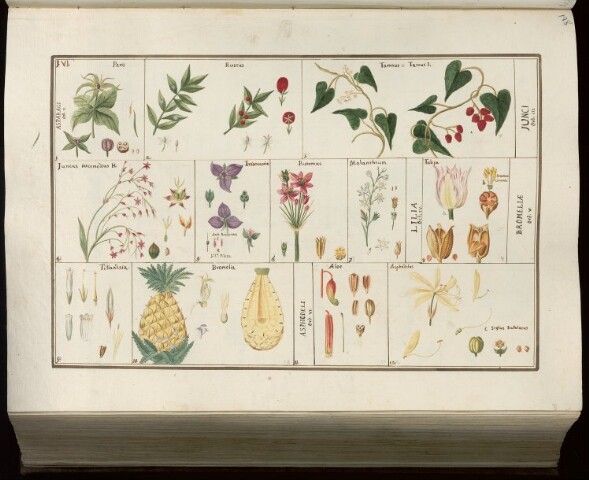 Anteprima dell'oggetto