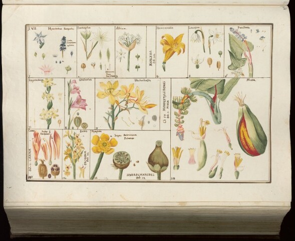 Anteprima dell'oggetto