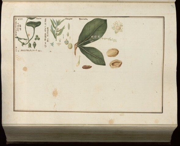 Anteprima dell'oggetto