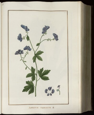 Anteprima dell'oggetto