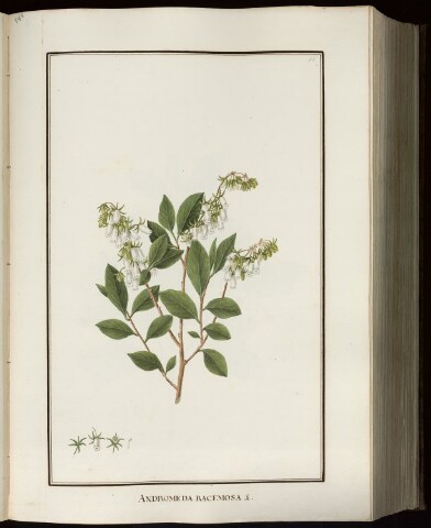 Anteprima dell'oggetto