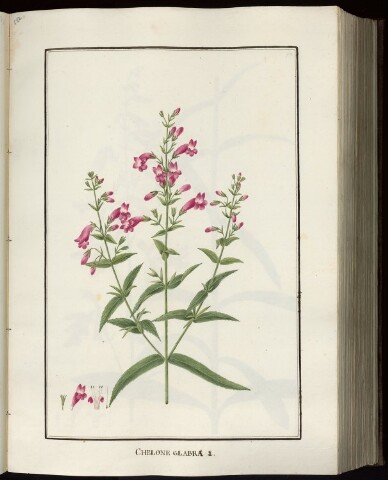 Anteprima dell'oggetto