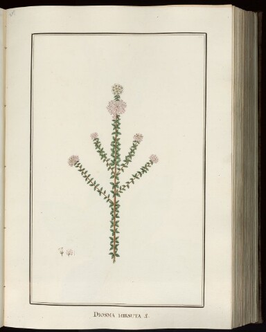 Anteprima dell'oggetto