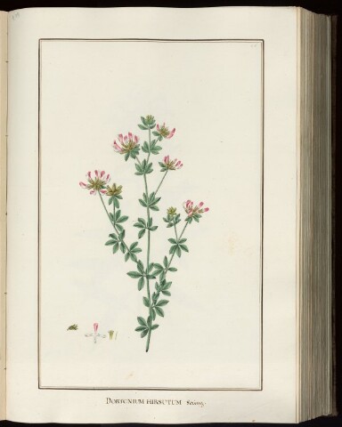 Anteprima dell'oggetto