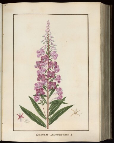 Anteprima dell'oggetto