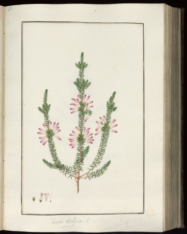 Anteprima dell'oggetto