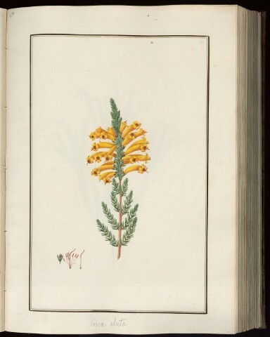 Anteprima dell'oggetto